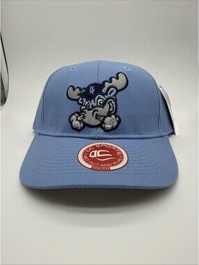Wilmington Blue Rocks Youth Baseball Cap with Moose Logo - Light Blue